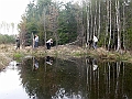 P4200146