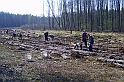 S6002548