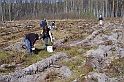 S6002556