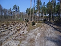 S6002562