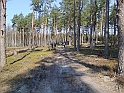 S6002563
