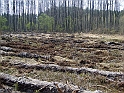 S6002581