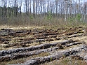 S6002582