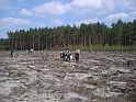S6002591